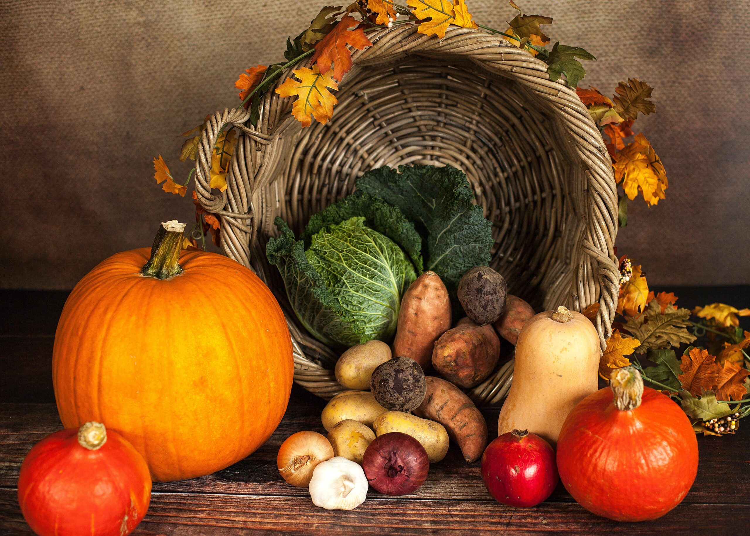 pumpkin-1768857