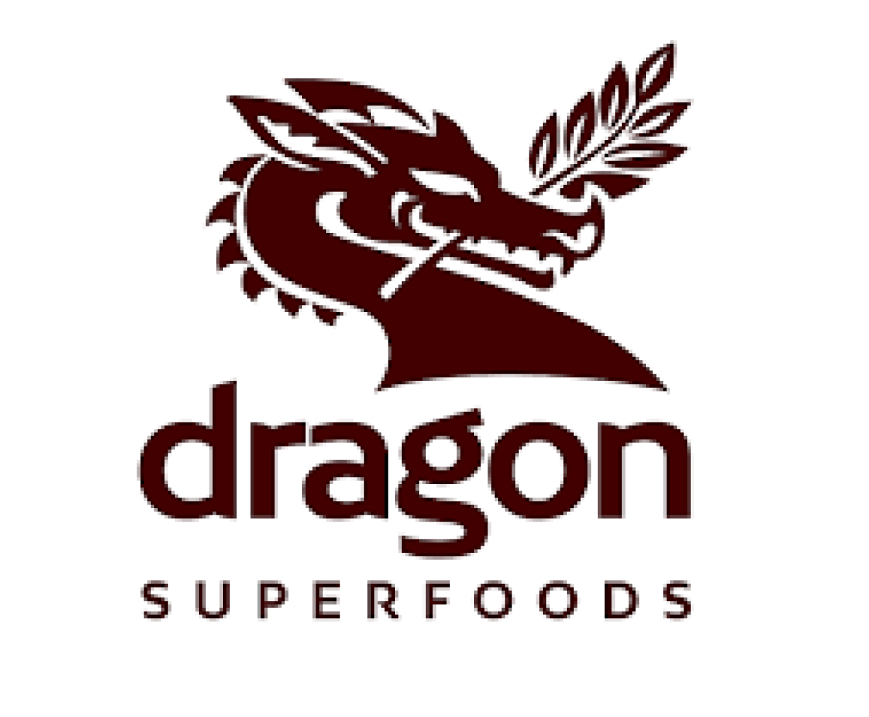 Dragon-Website